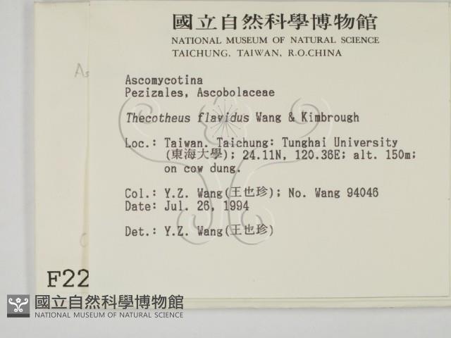 登錄號:F0002246藏品圖，第2張