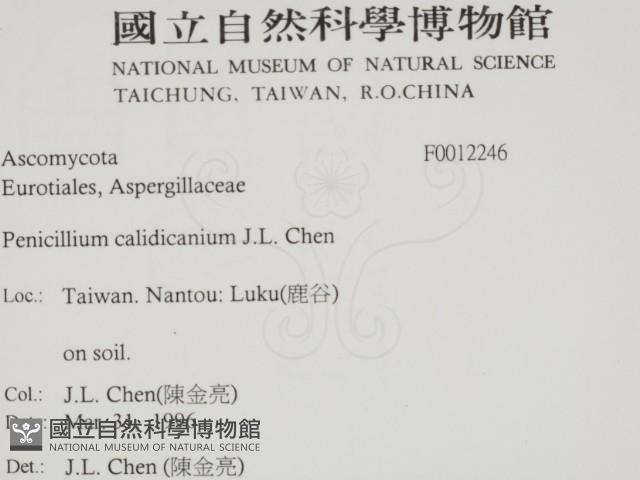 登錄號:F0012246藏品圖，第2張