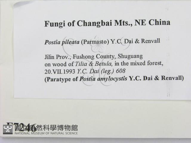 登錄號:F0007246藏品圖，第2張