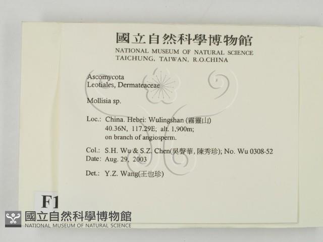 登錄號:F0015246藏品圖，第2張