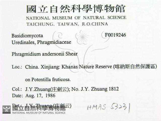 登錄號:F0019246藏品圖，第2張