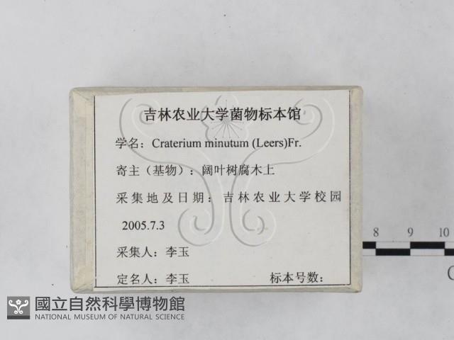 登錄號:F0023246藏品圖，第2張