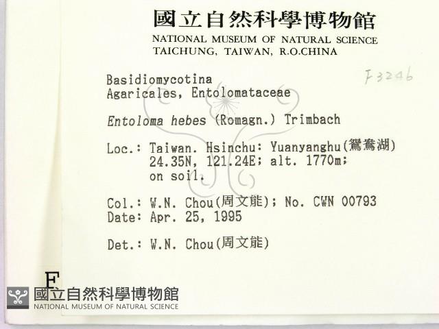 登錄號:F0003246藏品圖，第2張