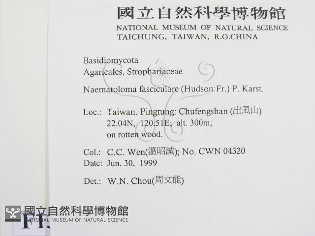 登錄號:F0013246藏品圖，第2張