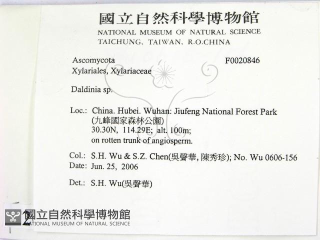 登錄號:F0020846藏品圖，第2張
