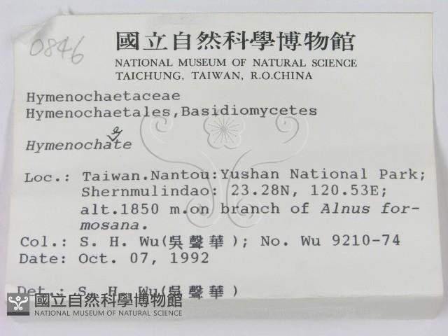 刺革菌屬藏品圖，第2張