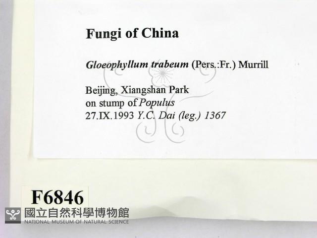 登錄號:F0006846藏品圖，第2張