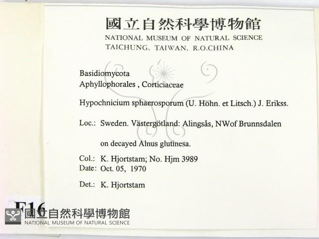 登錄號:F0016846藏品圖，第2張