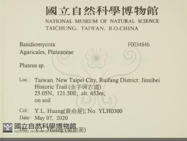 登錄號:F0034846藏品圖，第2張