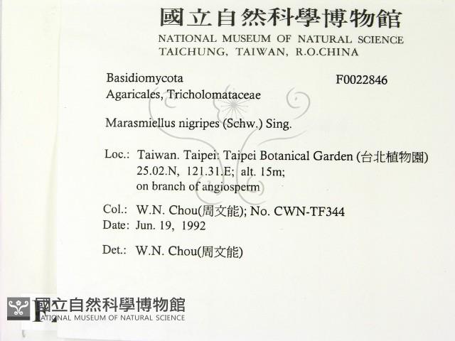 登錄號:F0022846藏品圖，第2張