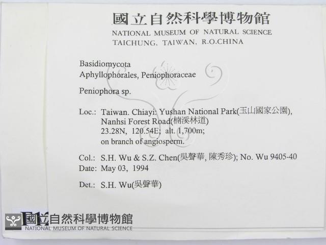 筍殼菌屬藏品圖，第2張