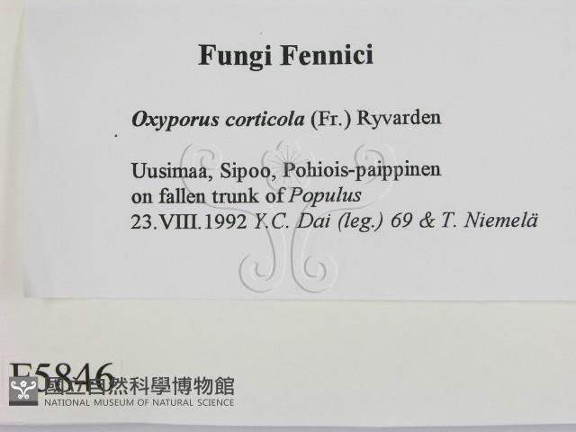 登錄號:F0005846藏品圖，第2張