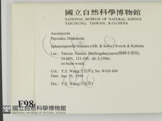 登錄號:F0009846藏品圖，第2張