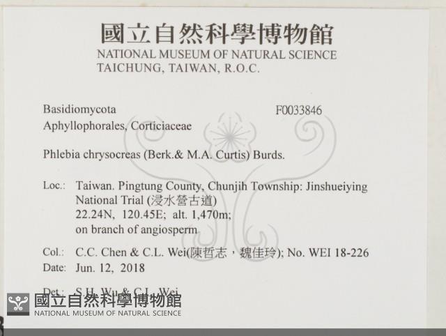 登錄號:F0033846藏品圖，第2張