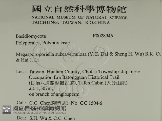 登錄號:F0028946藏品圖，第2張