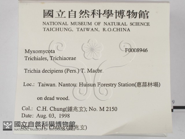 登錄號:F0008946藏品圖，第2張