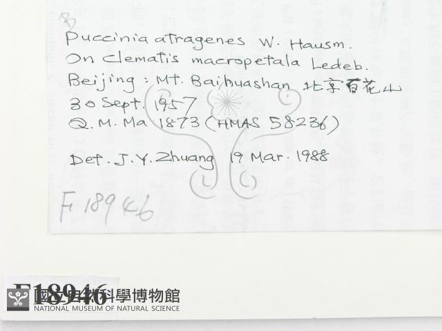 登錄號:F0018946藏品圖，第2張