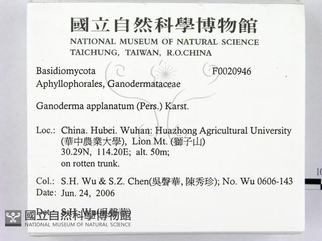 登錄號:F0020946藏品圖，第2張