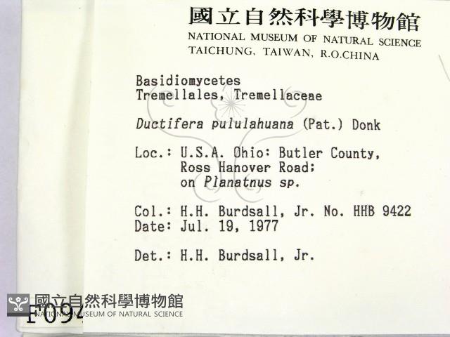 登錄號:F0000946藏品圖，第2張