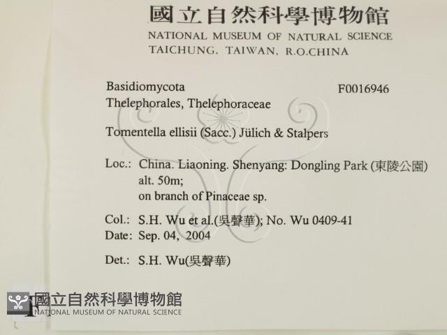 登錄號:F0016946藏品圖，第2張