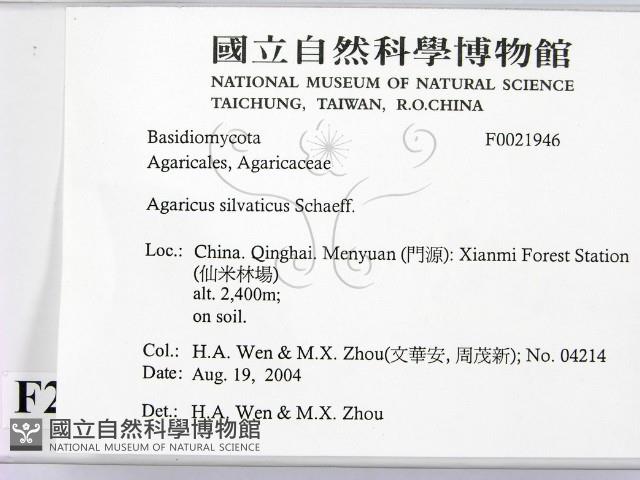 登錄號:F0021946藏品圖，第2張