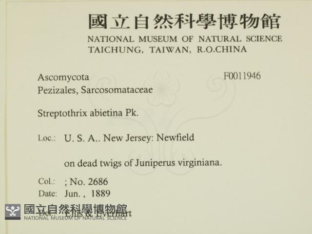 登錄號:F0011946藏品圖，第2張