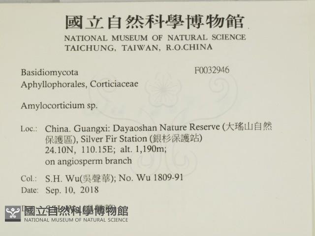 登錄號:F0032946藏品圖，第2張