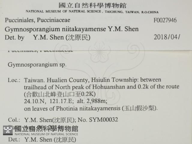 登錄號:F0027946藏品圖，第2張