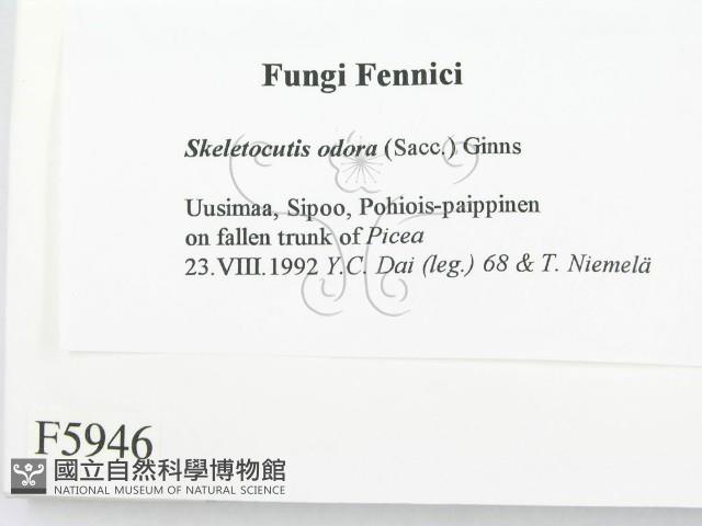 登錄號:F0005946藏品圖，第2張