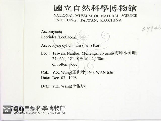 登錄號:F0009946藏品圖，第2張