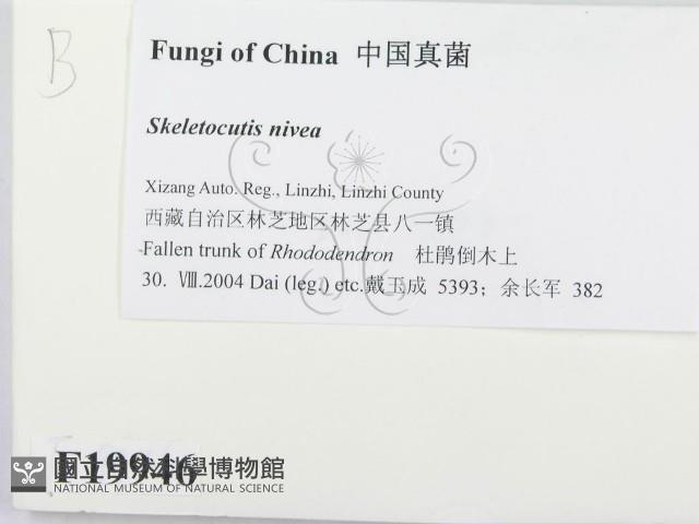館號:F0019946藏品圖，第2張