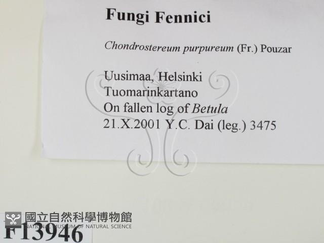 登錄號:F0013946藏品圖，第2張