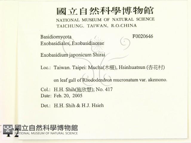 登錄號:F0020646藏品圖，第2張