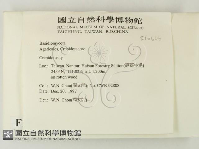 登錄號:F0010646藏品圖，第2張