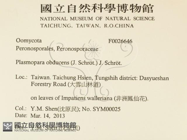 登錄號:F0026646藏品圖，第2張