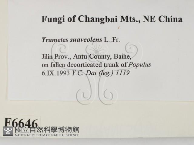 登錄號:F0006646藏品圖，第2張