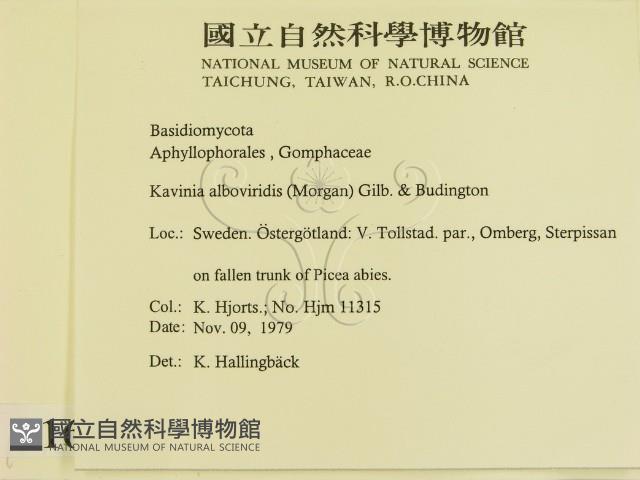 登錄號:F0016646藏品圖，第2張