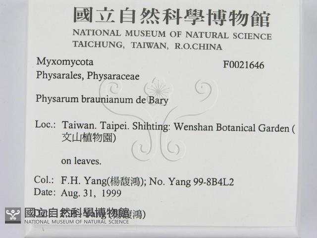 登錄號:F0021646藏品圖，第2張