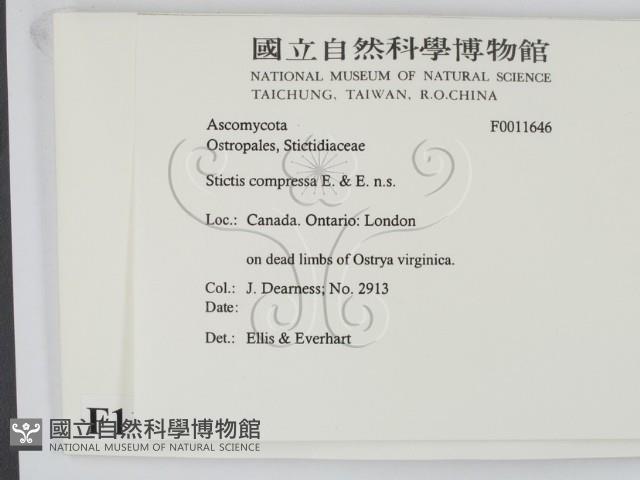 登錄號:F0011646藏品圖，第2張