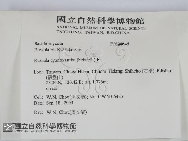 登錄號:F0024646藏品圖，第2張