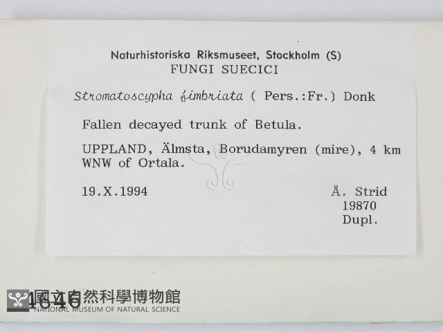 登錄號:F0004646藏品圖，第2張