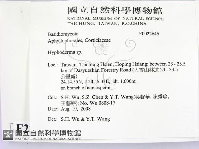 絲皮菌屬藏品圖，第2張