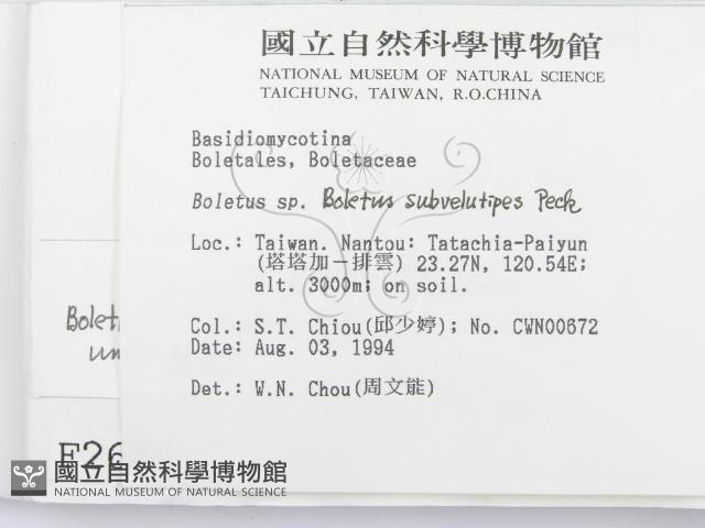 登錄號:F0002646藏品圖，第2張