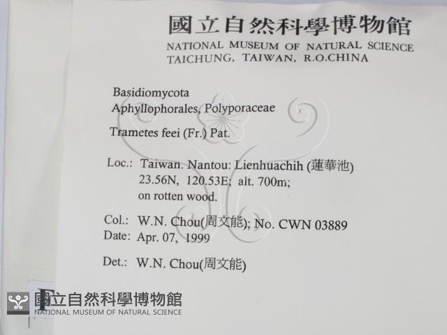 登錄號:F0012646藏品圖，第2張