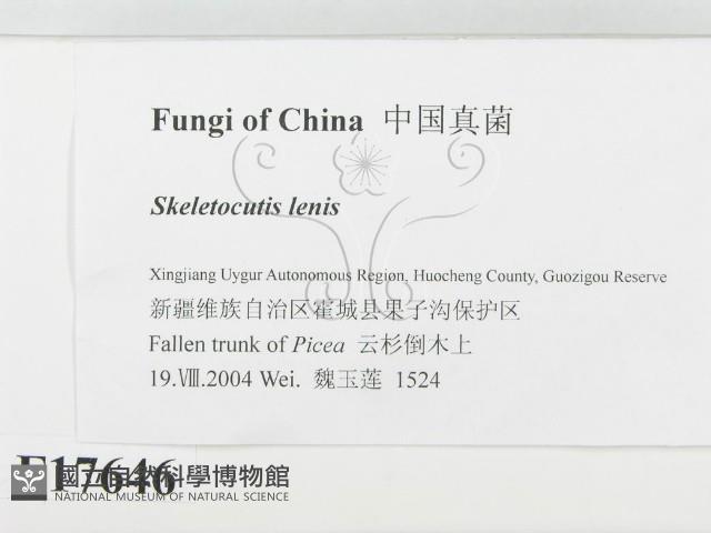 登錄號:F0017646藏品圖，第2張