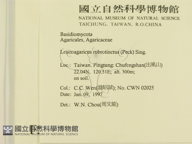 登錄號:F0005646藏品圖，第2張