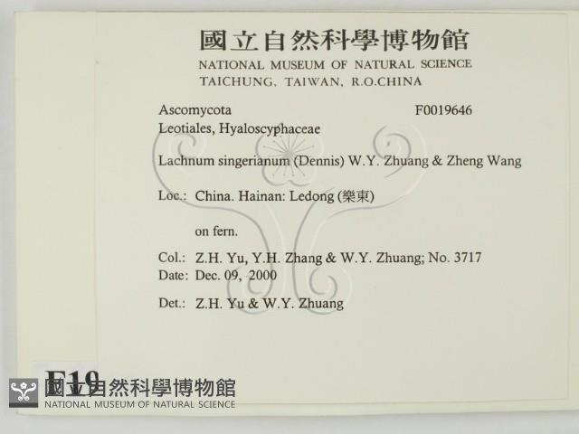 登錄號:F0019646藏品圖，第2張