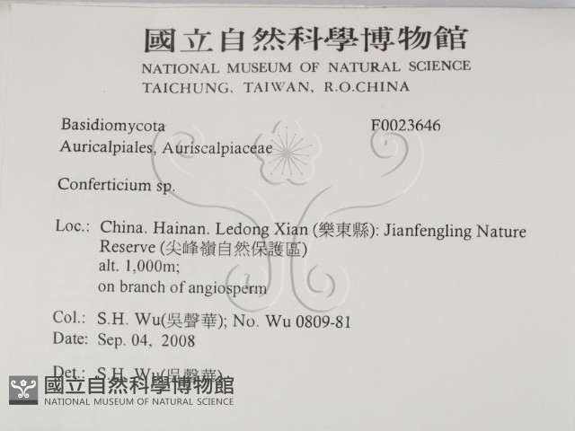 登錄號:F0023646藏品圖，第2張
