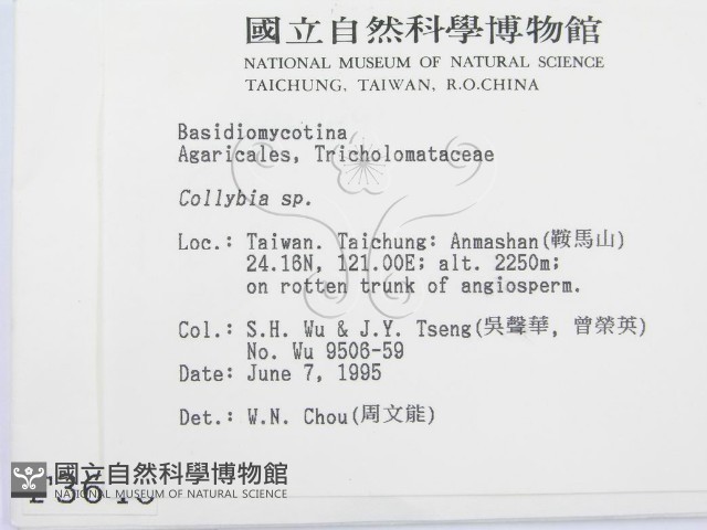 登錄號:F0003646藏品圖，第2張