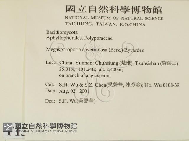 登錄號:F0013646藏品圖，第2張